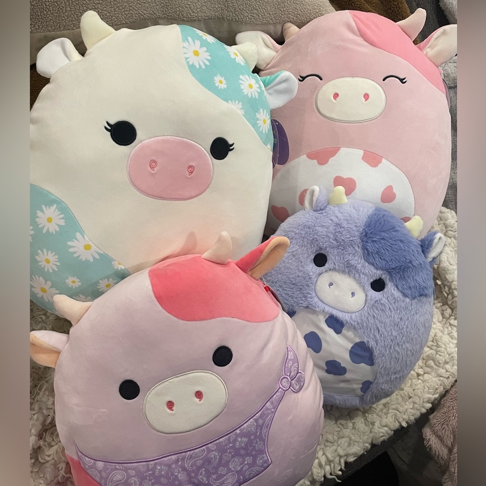 Cow Squishmallows Bundle